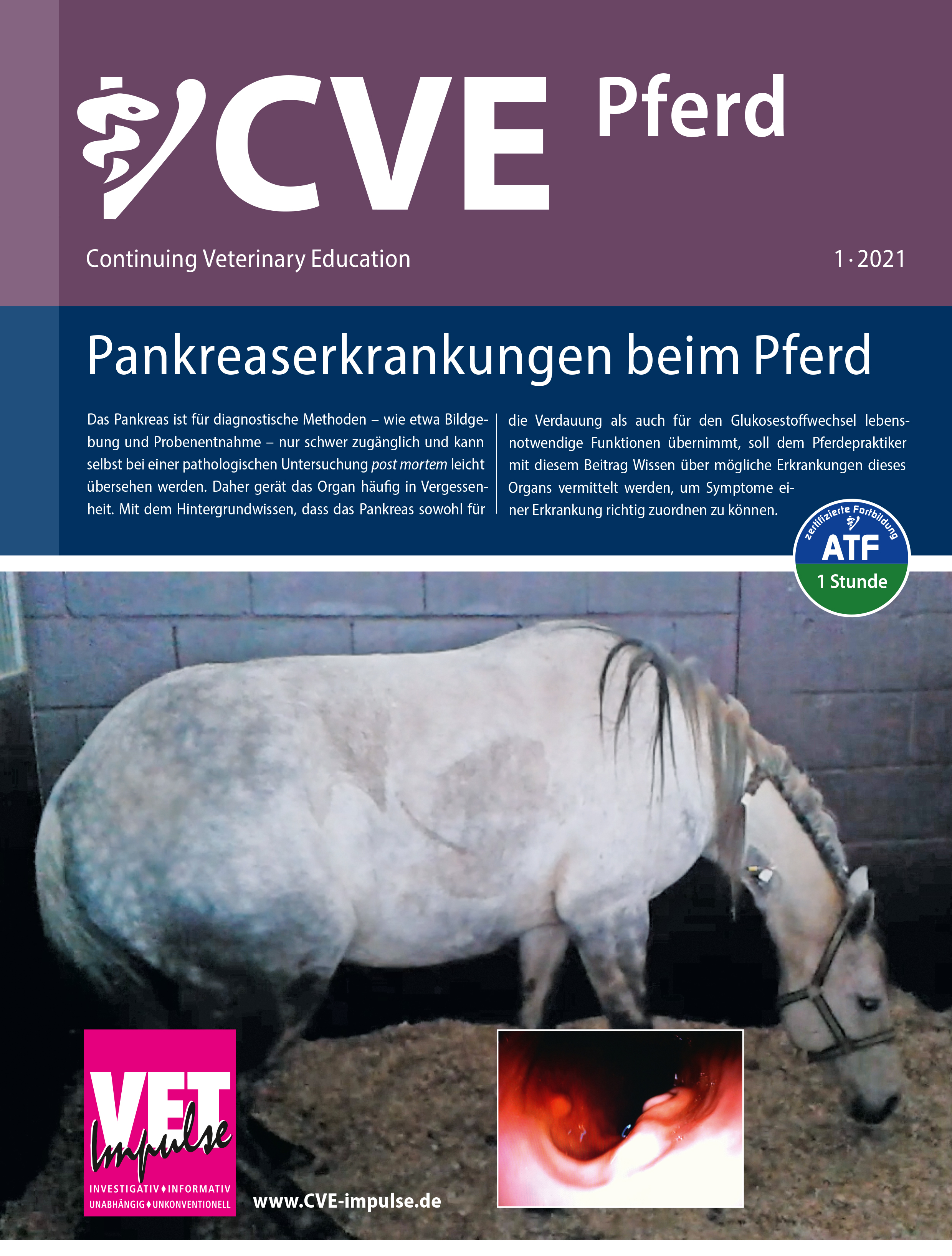 CVE-Pferd 2021-1_Titel